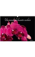 Un Monde De Beautes Cachees 2018