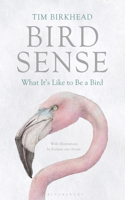 Bird Sense: What It's Like to Be a Bird(English)