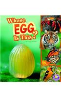 Whose Egg Is This?: (Nature Starts)