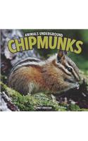 Chipmunks