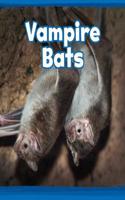 Vampire Bats