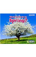 Seasons What Can You See in Spring?: (Seasons)