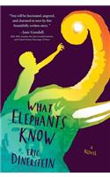 What Elephants Know