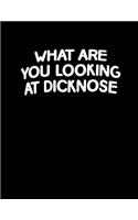 What Are You Looking At Dicknose Notebook