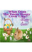 What Does The Easter Bunny Look Like?