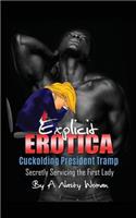 Explicit Erotica