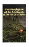 Essential Camping Hacks and Best Herbal Remedies To Save Your Life in The Wild