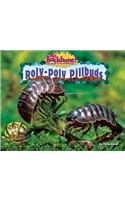 Roly-Poly Pillbugs