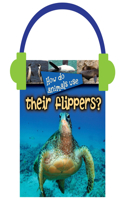 How Do Animals Use... Their Flippers?