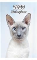 2020 Wochenplaner: Orientalisch Kurzhaar - 107 Seiten, 15cm x 23cm ca. A5 - Taschenkalender - Terminplaner - Tagebuch - Terminkalender - Organizer für Katzenliebhaber