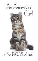 A Black Tortoiseshell Tabby American Curl Cat is the Boss of me...