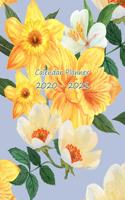 Calendar Planner 2020-2021