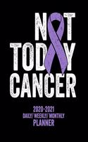 Not Today Hodgkin's Lymphoma: 2020 -2021 Daily/ Weekly/ Monthly Planner: 2-Year Personal Planner with Grid Calendar Purple Awareness Ribbon, Hodgkin Blood Cancer Disease Appointm