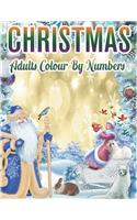 Christmas Adults Colour By Numbers