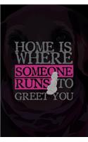 Home Is Where Someone Runs To Greet You
