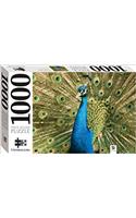 Peacock 1000 Piece Jigsaw