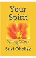 Your Spirit: Spiritual Trilogy - Part 1(6 Awaken the Flow Books)