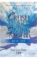 Crush Under the Starry Night