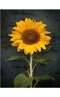 Sunflower Notebook