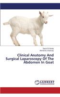 Clinical Anatomy and Surgical Laparoscopy of the Abdomen in Goat