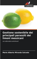 Gestione sostenibile dei principali parassiti dei limoni messicani
