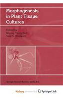 Morphogenesis in Plant Tissue Cultures