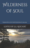 Wilderness of Soul