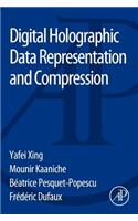 Digital Holographic Data Representation and Compression