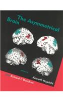 The The Asymmetrical Brain Asymmetrical Brain