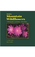 Idaho Mountain Wildflowers