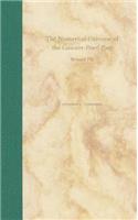 The Numerical Universe of the Gawain-Pearl Poet