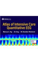 Atlas of Intensive Care Quantitative Eeg