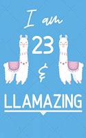 I Am 23 And Llamazing