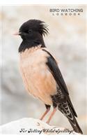 Bird Watching Logbook - For Jotting Whislst Spotting! - 120 Pages 6x9