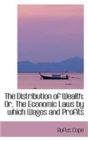 The Distribution of Wealth