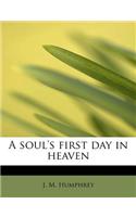A Soul's First Day in Heaven