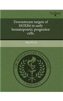 Downstream Targets of Hoxb4 in Early Hematopoietic Progenitor Cells