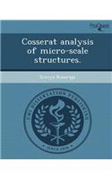 Cosserat Analysis of Micro-Scale Structures: (English)