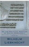 On the Political Position of Social-Democracy
