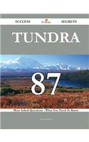 Tundra 87 Success Secrets - 87 Most Asked Questions on Tundra - What You Need to Know