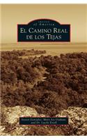 Camino Real de los Tejas