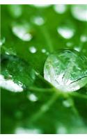 Leaf Dew Journal