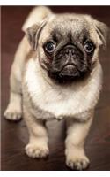 A Sweet and Charming Little Pug Puppy Dog Pet Journal