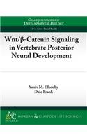 Wnt/ -Catenin Signaling in Vertebrate Posterior Neural Development