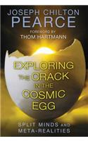 Exploring the Crack in the Cosmic Egg