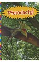 Pterodactyl
