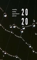 2020 Monthly Weekly Appointment Planner