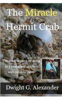 Miracle of the Hermit Crab