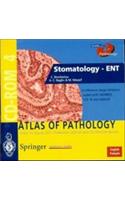 Stomatology - Ent