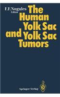 Human Yolk Sac and Yolk Sac Tumors